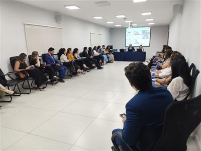 Notícia destaque: Em quatro encontros estratégicos, comissões temáticas alinham atuação institucional