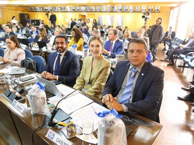 Foto da Notícia: Gisela Cardoso e conselheiros federais da OAB-MT participam do Conselho Pleno de maio