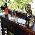 1º Fórum Cultural da OAB/MT - Fotografo: Lucas Bólico - site Olhar Direto