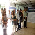 Advogados públicos federais pleiteiam melhores condições de trabalho - Fotografo: Assessoria de Imprensa OAB/MT