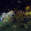 Arraiá da AAMT 2012 - Fotografo: 