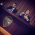Advogados de Nova Mutum e Lucas do Rio Verde elogiam atuação da OAB/MT