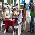 Orientações jurídicas são prestadas na Praça Alencastro pela CDT - Fotografo: José Medeiros - Fotos da Terra