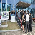 OAB/MT participa de mobilização em prol de advogados públicos federais - Fotografo: Adia Borges - Fotos da Terra