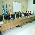 Ações da OAB/MT marcam abertura de Colégio de Presidentes de Subseções - Fotografo: 