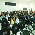 Ações da OAB/MT marcam abertura de Colégio de Presidentes de Subseções