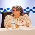 Vice-presidente da OAB/MT aborda importância de se debater questões de gênero durante Conferência Nacional - Fotografo: CFOAB