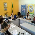 OABMT Mulher é apresentado em reunião de Conselho Estadual - Fotografo: Arquivo pessoal