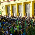 Diretoria da OABMT considera manifestação contra corrupção momento histórico - Fotografo: Adia Borges - Fotos da Terra