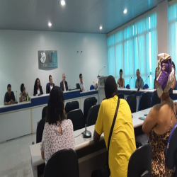 Reunião ampliada da Comissão de Defesa da Igualdade Racial - Fotografo: Sissy Cambuim