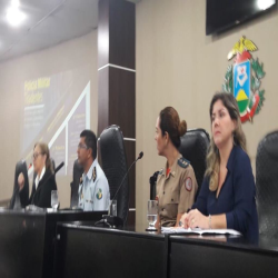 Comissão da Infância e Juventude participa de evento sobre escolas militares de MT