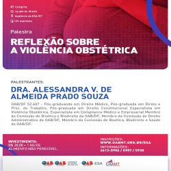 Arte Violência Obstétrica