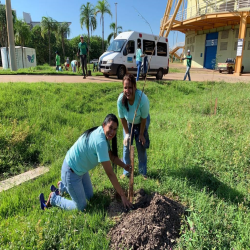 OAB-MT faz plantio no entorno da Arena em evento do Cuiabá, 300 sombrinhas