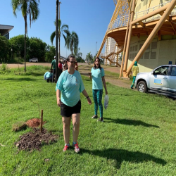 OAB-MT faz plantio no entorno da Arena em evento do Cuiabá, 300 sombrinhas