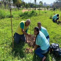 OAB-MT faz plantio no entorno da Arena em evento do Cuiabá, 300 sombrinhas