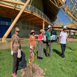 OAB-MT faz plantio no entorno da Arena em evento do Cuiabá, 300 sombrinhas