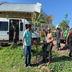 OAB-MT faz plantio no entorno da Arena em evento do Cuiabá, 300 sombrinhas