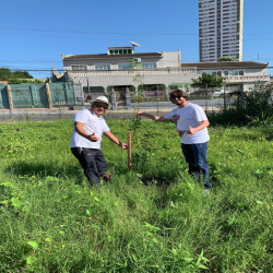 OAB-MT faz plantio no entorno da Arena em evento do Cuiabá, 300 sombrinhas