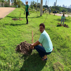 OAB-MT faz plantio no entorno da Arena em evento do Cuiabá, 300 sombrinhas