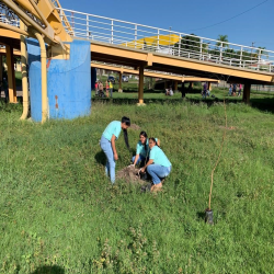 OAB-MT faz plantio no entorno da Arena em evento do Cuiabá, 300 sombrinhas