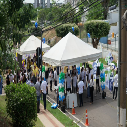 26.11 - Eleições OAB-MT 2021