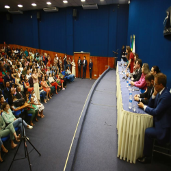 11/04 - OAB-MT entrega certidões para estagiários e novos advogados - Fotografo: Fernando Rodrigues